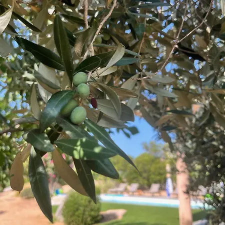 Fiori Vecchio Avec Piscine Privee Willa Porto-Vecchio (Corsica)