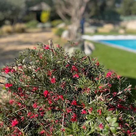 Villa Fiori Vecchio Avec Piscine Privee *