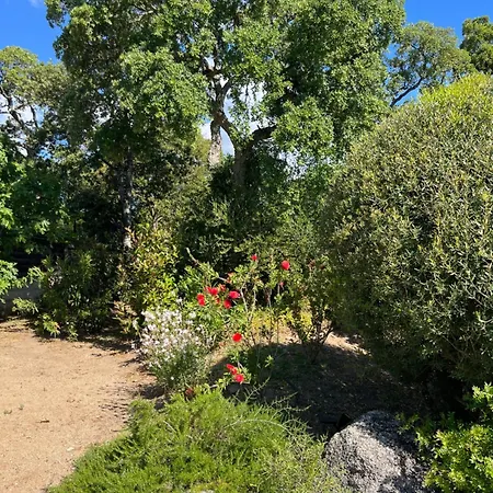 Fiori Vecchio Avec Piscine Privee * Porto-Vecchio (Corsica)
