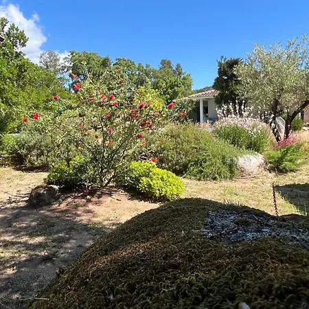 Fiori Vecchio Avec Piscine Privee Porto-Vecchio (Corsica)