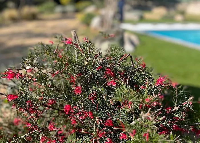 Villa Fiori Vecchio Avec Piscine Privée *