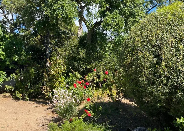 Fiori Vecchio Avec Piscine Privee * Porto-Vecchio (Corsica)