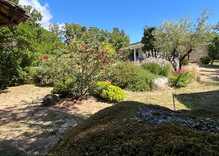 Fiori Vecchio Avec Piscine Privée Porto Vecchio